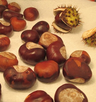 Chestnuts1