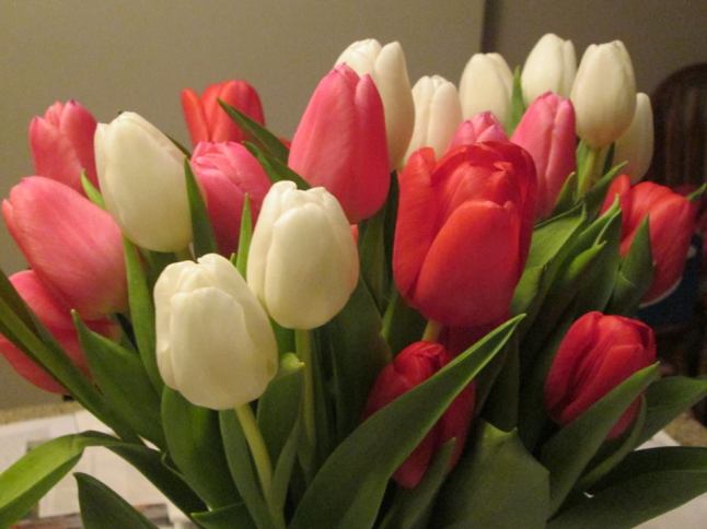 TulipsFeb