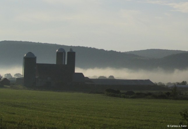 FarmSilos
