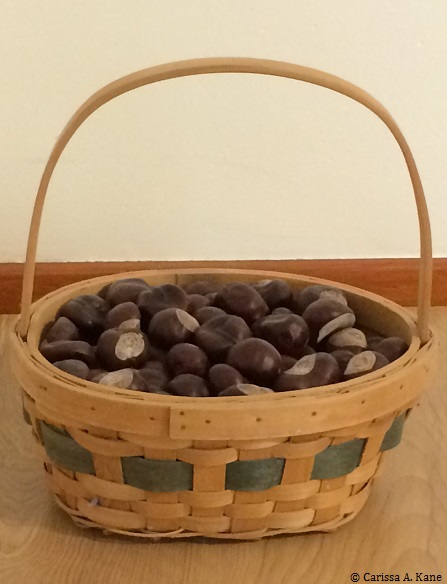 ChestnutsBasket