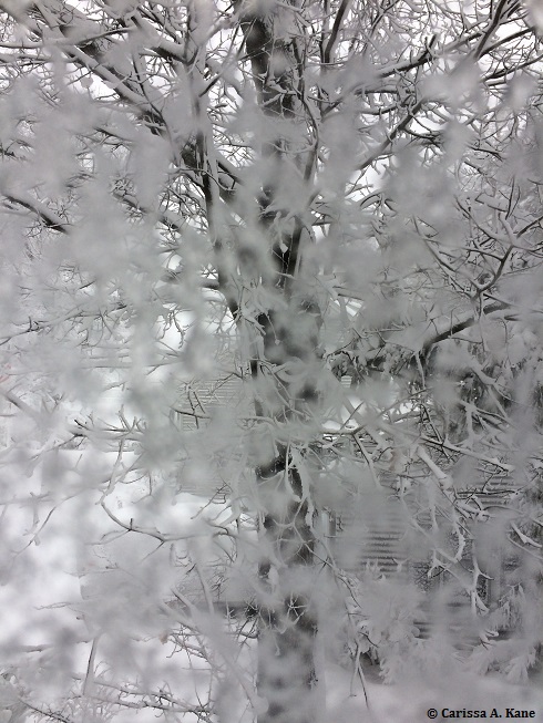 InWhatDoYouClotheYourself