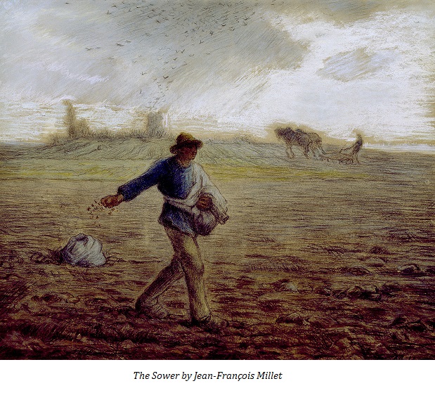 TheSower