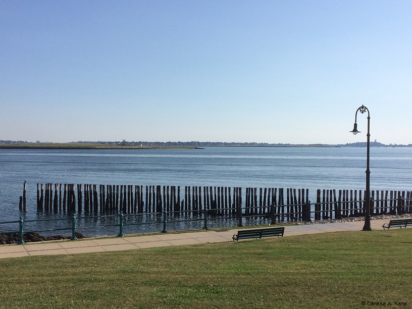 GrassLightFenceWater2