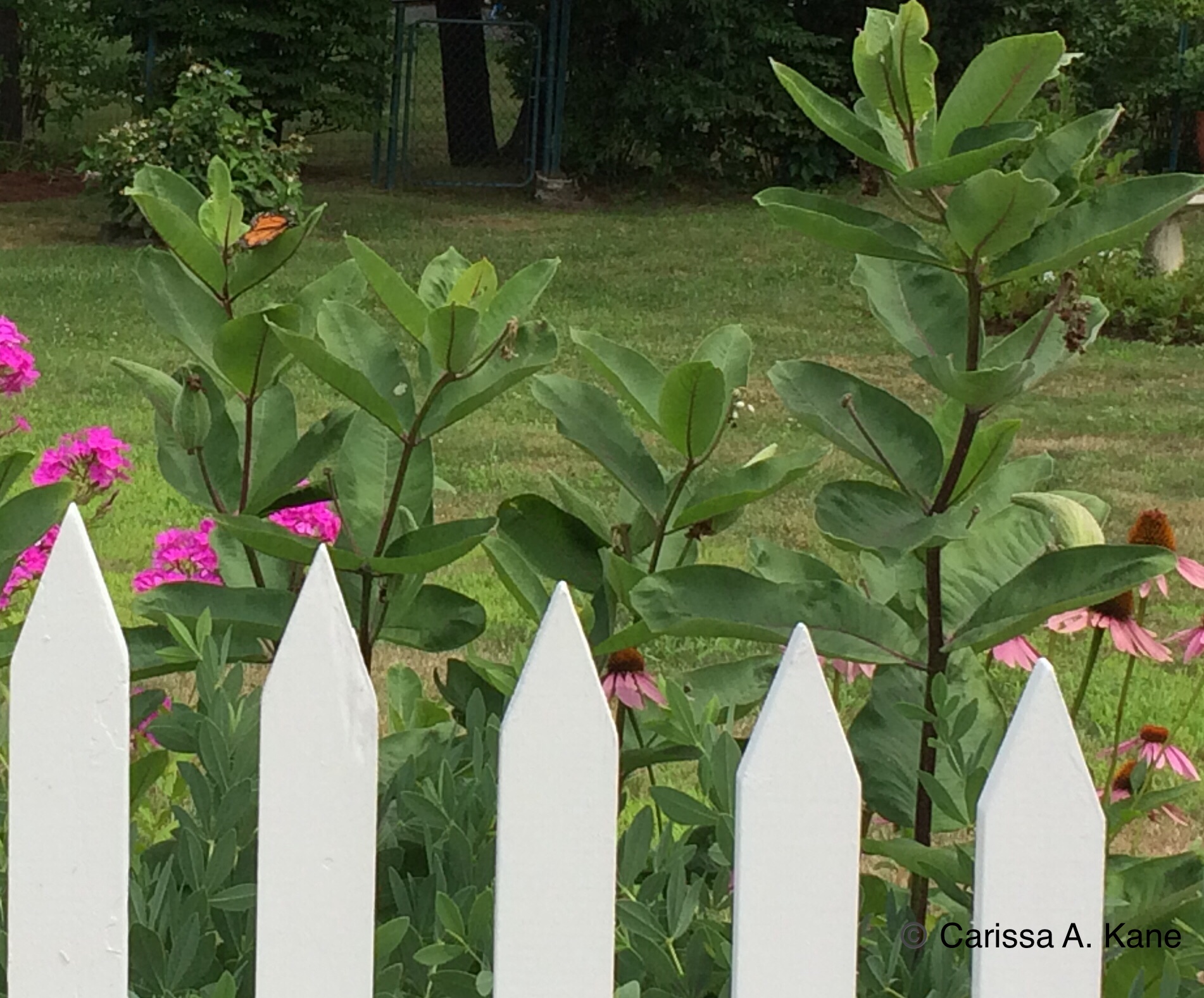 0739368C-A223-43A8-8333-EF6B3DFCE656