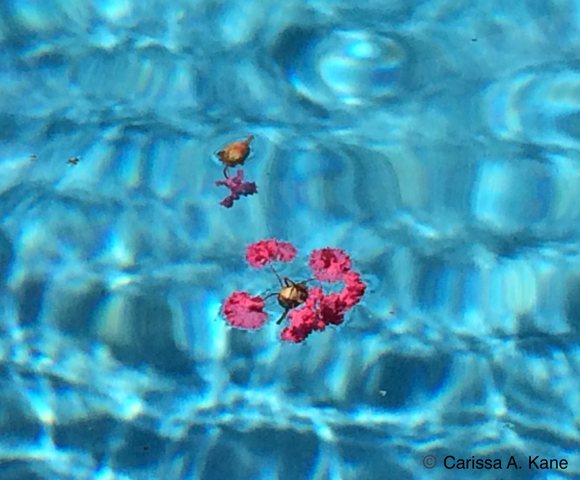 DB5CD955-461E-4DBB-A824-029D556FFC11