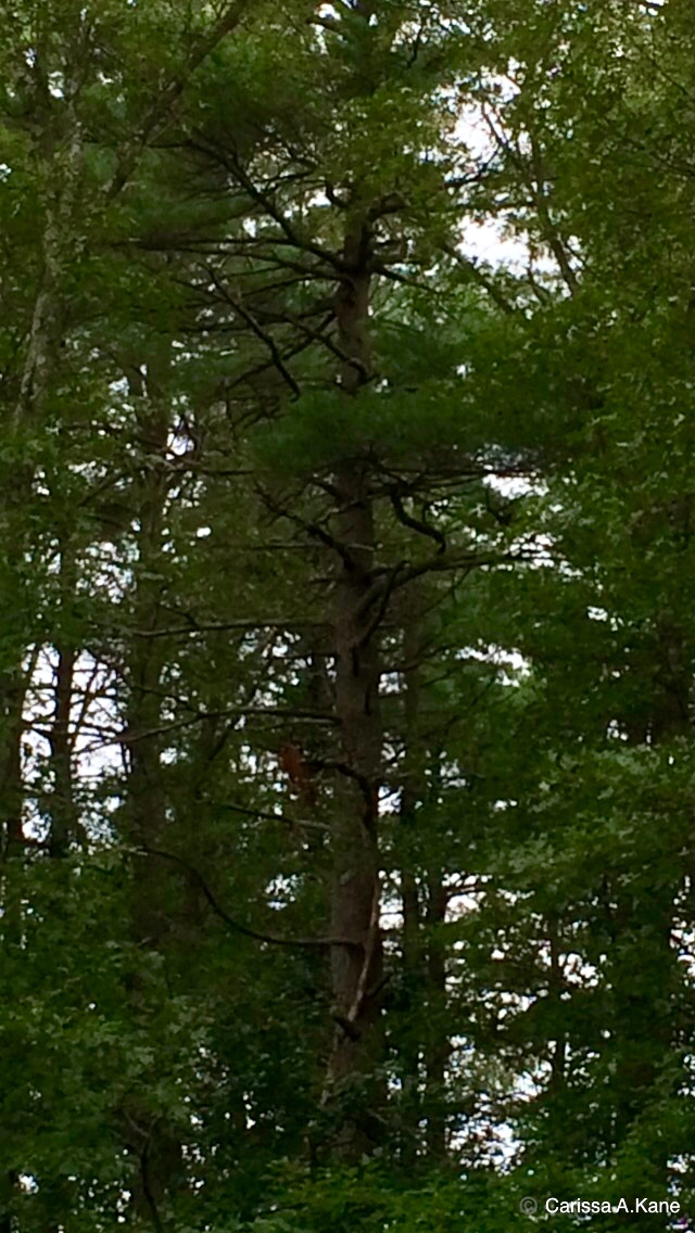 69792419-1D17-49B3-A286-81CED784B61B