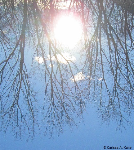 SunIsAlwaysRightSideUp