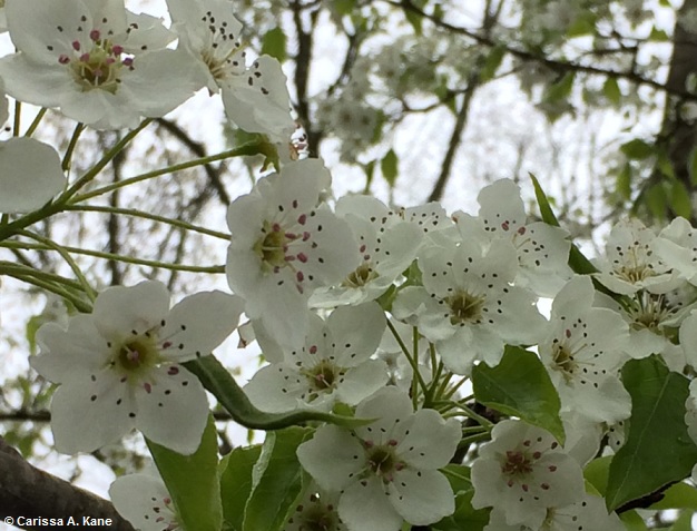 EverythingFallsIntoPlace