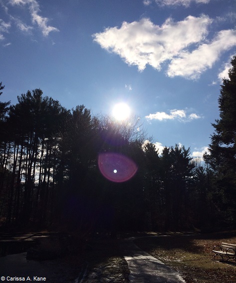 StAndreBessette_ThinVeil