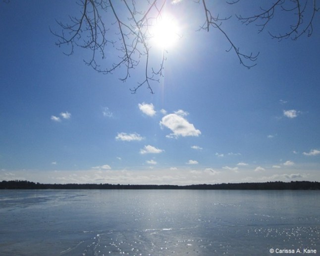Winter sun shining down on lake