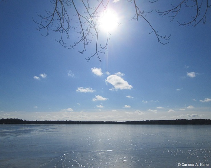 Winter sun shining down on lake