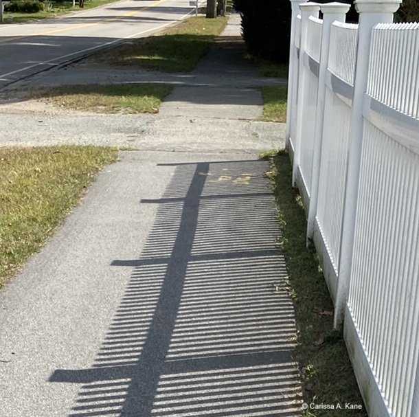 Fence with its shadow on a sidewalk