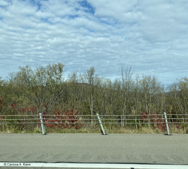 Roadside view into great wide open