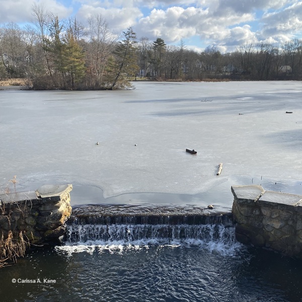 Water flowing from under an iced over pond
