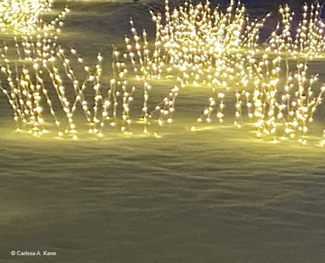 Strands of lights rising up from the snow at night.