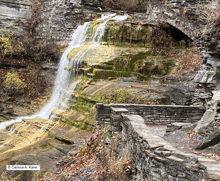 Path leading toward waterfall
