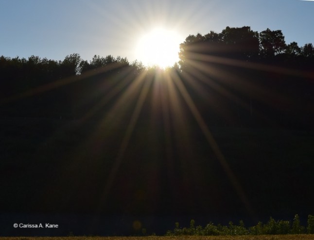 The sun rising over the top of darkness created by trees
